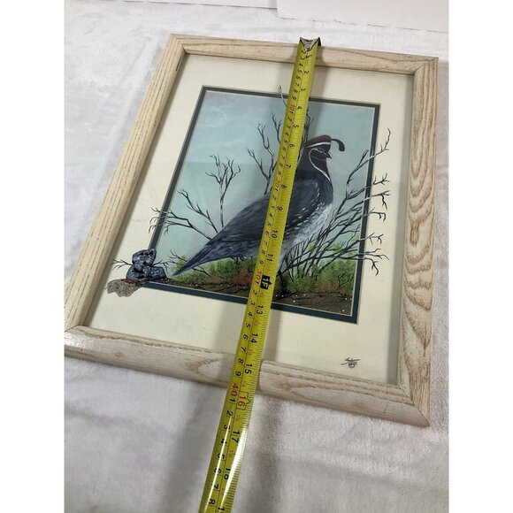 Gambel's Quail by Gerry R Stein 3-D SW Art hand painted One Of A Kind Print - Picture 8 of 9